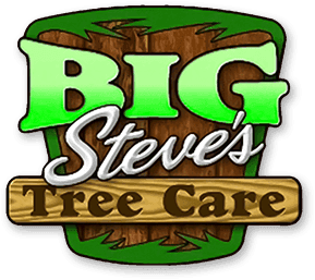 Big Steve’s Tree Care LLC
